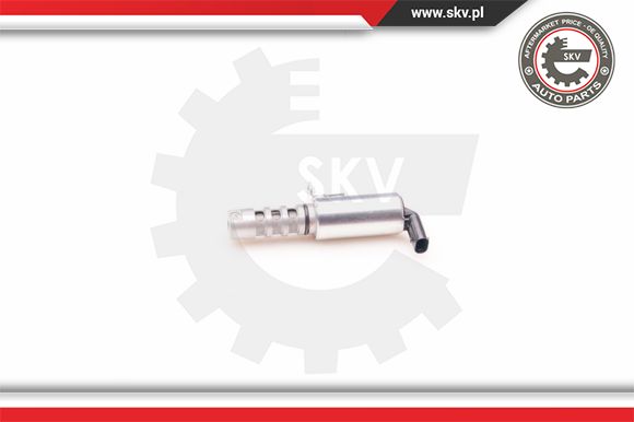 Zawór zmiennych faz rozrządu ESEN SKV 39SKV011