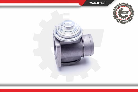 Zawór EGR ESEN SKV 14SKV174