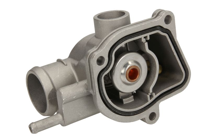 Termostat THERMOTEC D2M007TT