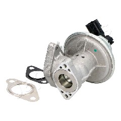 Zawór EGR JAPANPARTS EGR-0317
