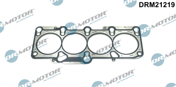 Zestaw uszczelek głowicy cylindrów DR.MOTOR AUTOMOTIVE DRM21219