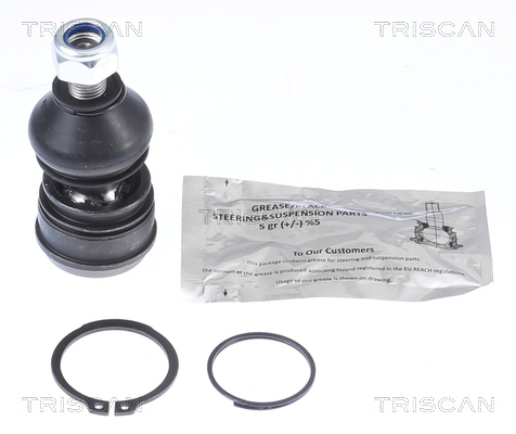 Sworzeń wahacza TRISCAN 8500 42561