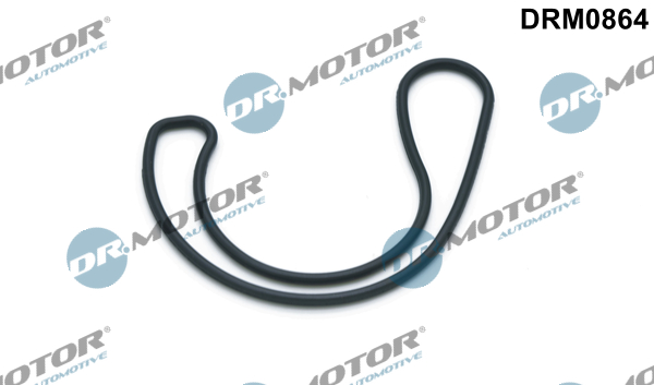 Uszczelnienie zaworu AGR DR.MOTOR AUTOMOTIVE DRM0864