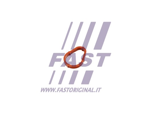 Uszczelka pompy podcisnieniowej FAST FT50702