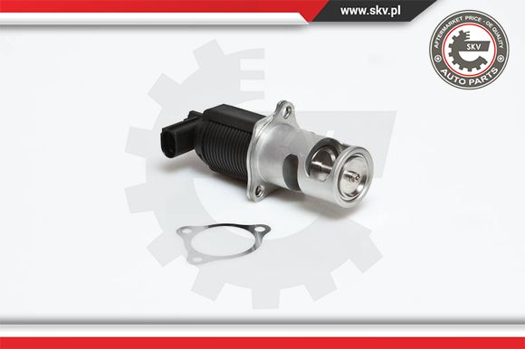 Zawór EGR ESEN SKV 14SKV032