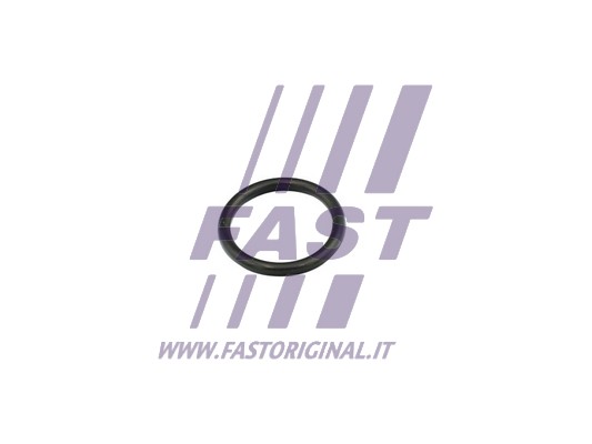 Uszczelka króćca układu chłodzenia FAST FT49856