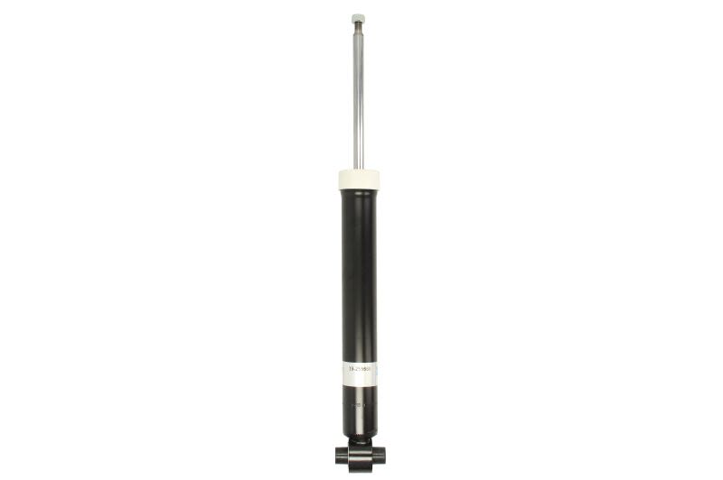 Amortyzator BILSTEIN 19-255668