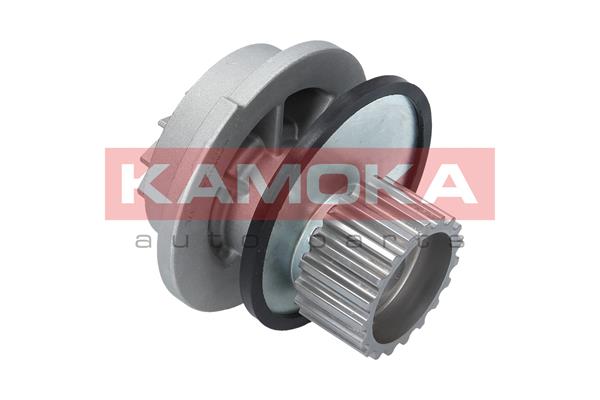 Pompa wody KAMOKA T0106