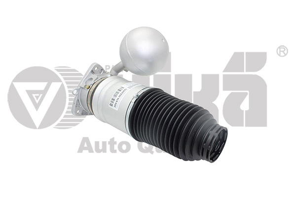Amortyzator pneumatyczny VIKA 66160002001