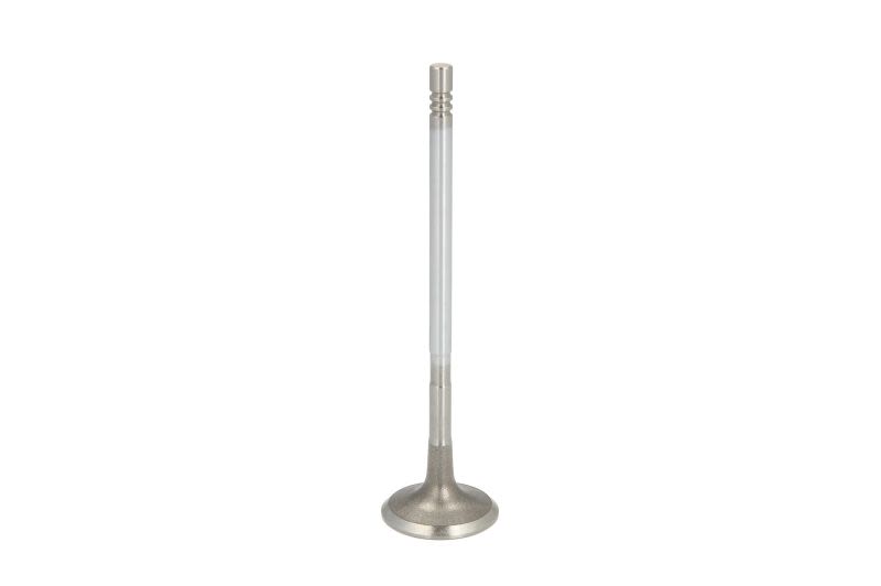Zawór ssący FRECCIA R6893/SCR