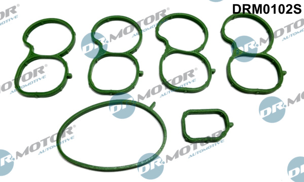 Zestaw uszczelek kolektora ssącego DR.MOTOR AUTOMOTIVE DRM0102S