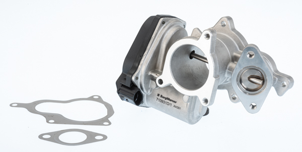 Zawór EGR BORGWARNER (WAHLER) 710931D/1