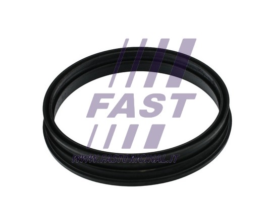 Uszczelka kosza pompy paliwa FAST FT48505