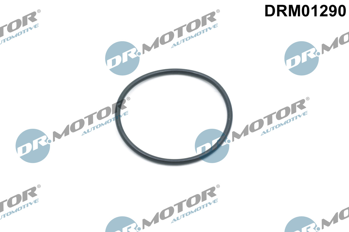 Pierścień uszczelniający, napinacz łańcucha rozrządu DR.MOTOR AUTOMOTIVE DRM01290