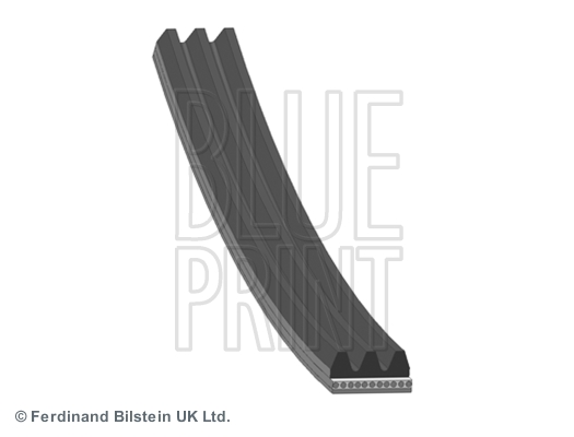 Pasek klinowy wielorowkowy BLUE PRINT AD03S842