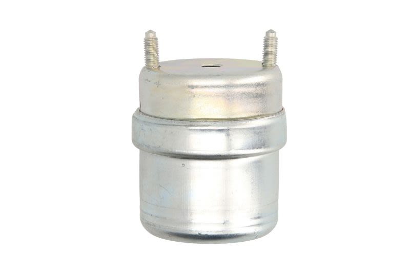 Poduszka silnika REINHOCH RH11-0129