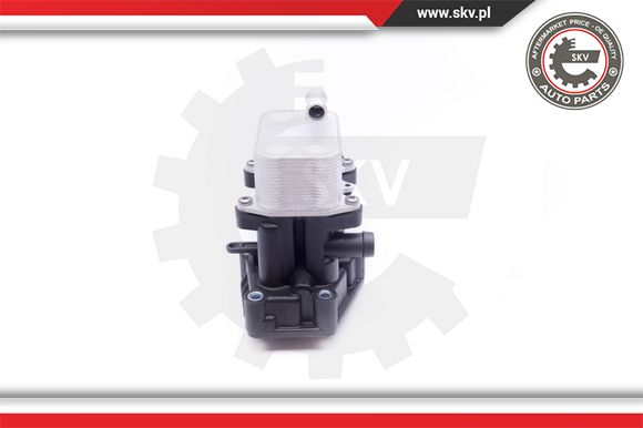 ESEN SKV 31SKV055