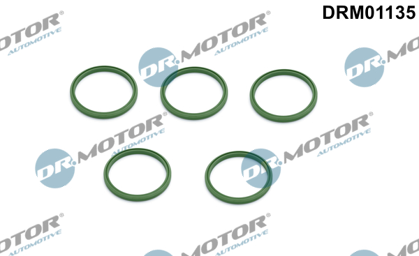 Uszczelniacz przewodu doładowującego DR.MOTOR AUTOMOTIVE DRM01135