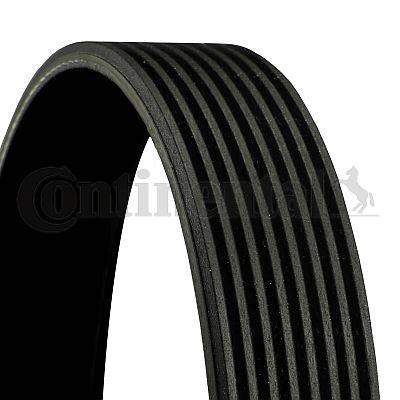 Pasek klinowy wielorowkowy CONTINENTAL CTAM 8PK1025