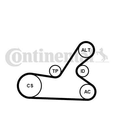 Zestaw paska osprzętu CONTINENTAL CTAM 6PK1145K4