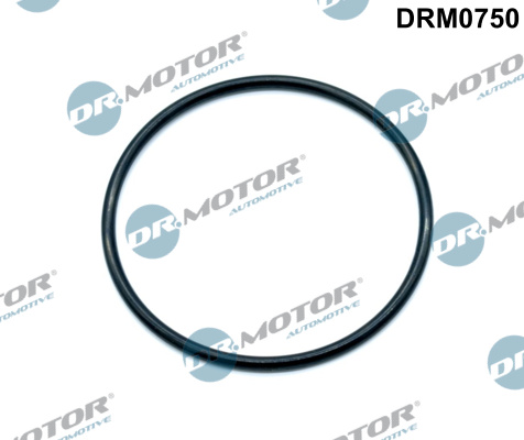 Uszczelka kolektora ssącego DR.MOTOR AUTOMOTIVE DRM0750