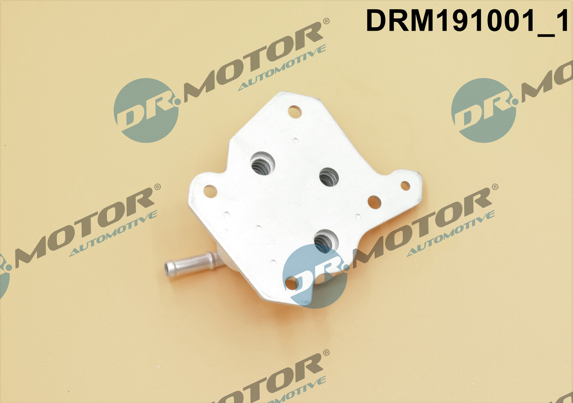 Chłodnica oleju silnikowego DR.MOTOR AUTOMOTIVE DRM191001