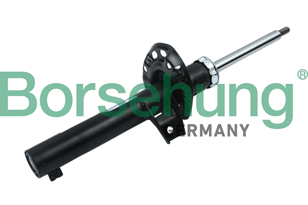 Amortyzator BORSEHUNG B12137