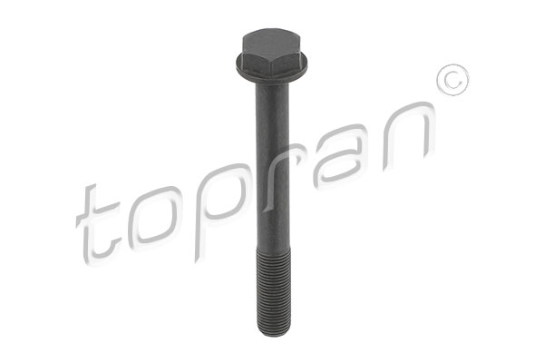 Zestaw śrub, koła zębate (łańcuch rozrządu) TOPRAN 503 630