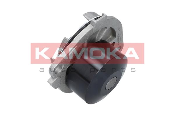 Pompa wody KAMOKA T0111