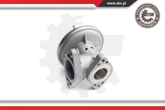 Zawór EGR ESEN SKV 14SKV098