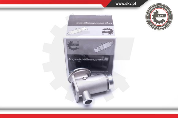 Zawór EGR ESEN SKV 14SKV175