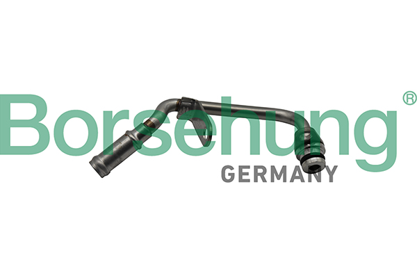 BORSEHUNG B19269