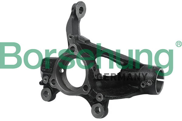 Czop łożyska koła BORSEHUNG B18509