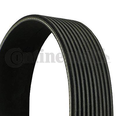 Pasek klinowy wielorowkowy CONTINENTAL CTAM 10PK2475