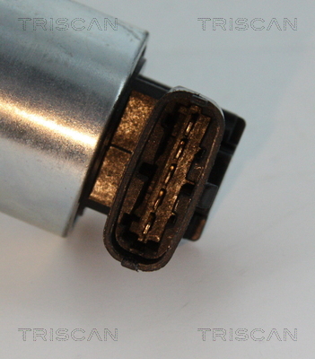 Zawór EGR TRISCAN 8813 24102