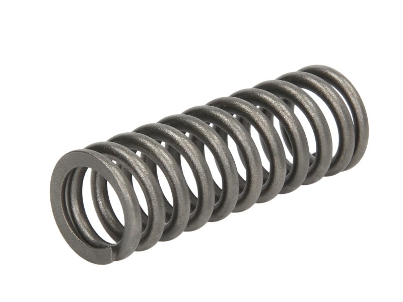 Sprężyna zaworu DT SPARE PARTS 1.10781