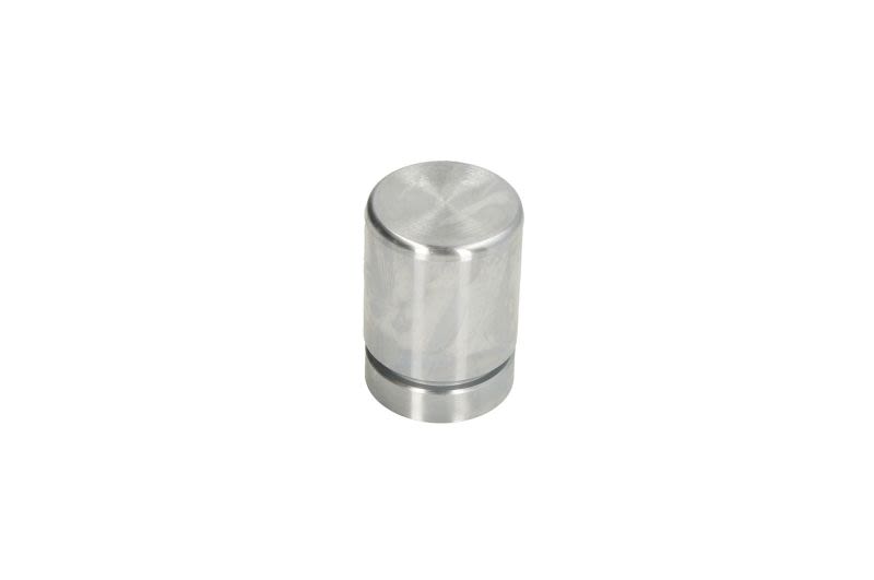Tłoczek zacisku hamulcowego AUTOFREN SEINSA D025648