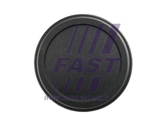Kołpak ozdobny, koła FAST FT92150