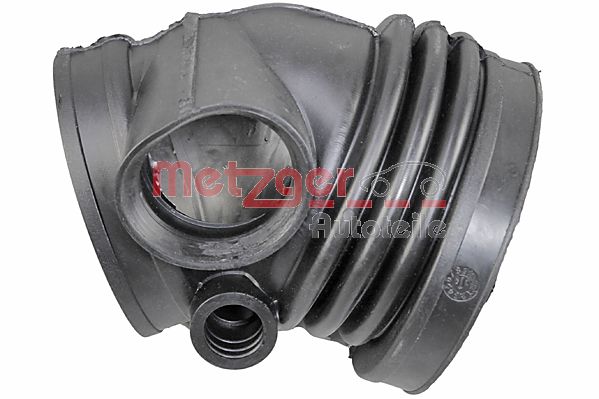 METZGER 2389029