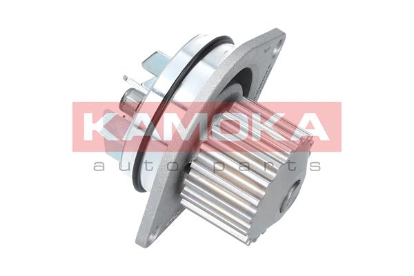 Pompa wody KAMOKA T0080