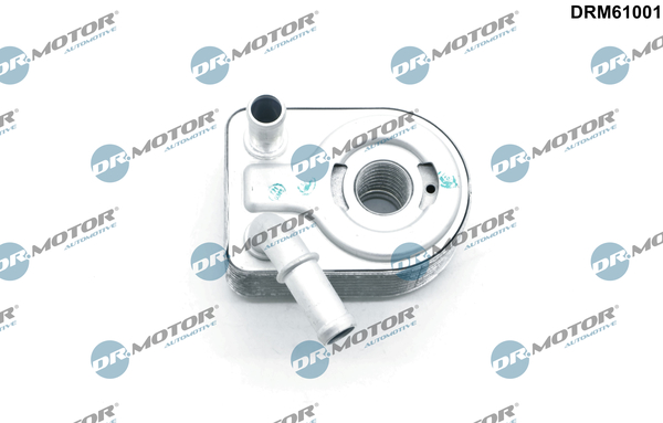Chłodnica oleju silnikowego DR.MOTOR AUTOMOTIVE DRM61001
