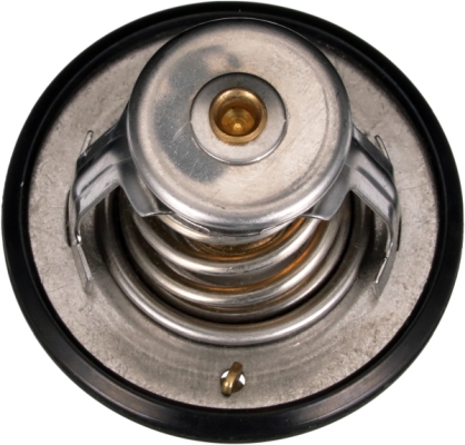 Termostat GATES TH56189G1