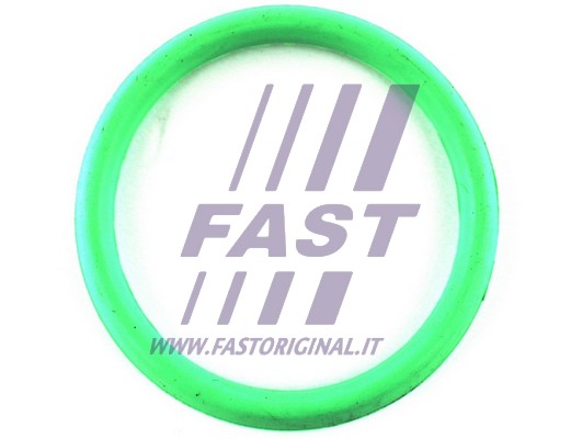 Uszczelka kolektora ssącego FAST FT49434