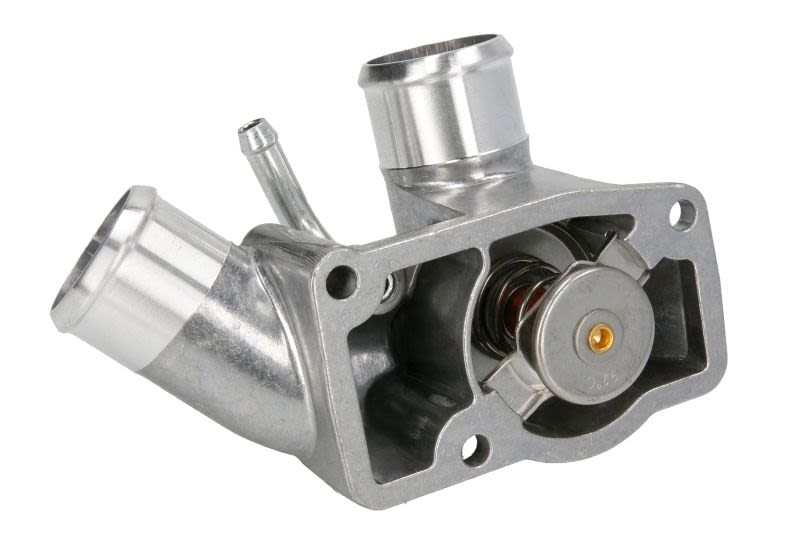 Termostat THERMOTEC D2X025TT