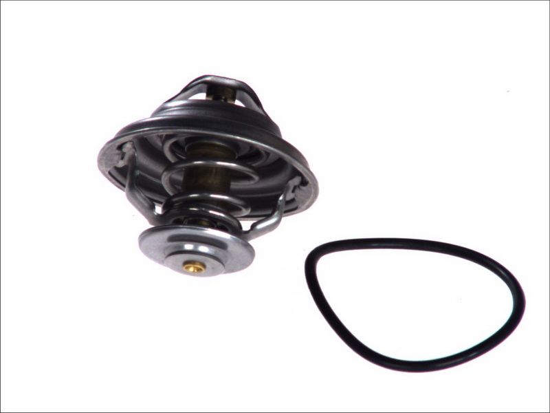 Termostat TOPRAN 500 542