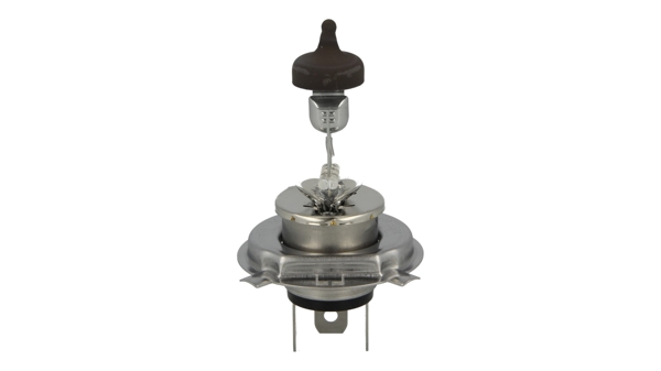 Żarówka HART 521 905