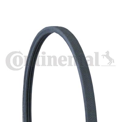 Pasek klinowy wielorowkowy CONTITECH 3PJ891