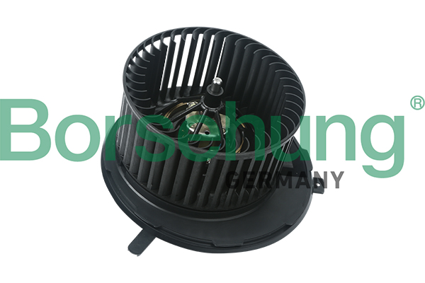 Wentylator wnętrza BORSEHUNG B14597