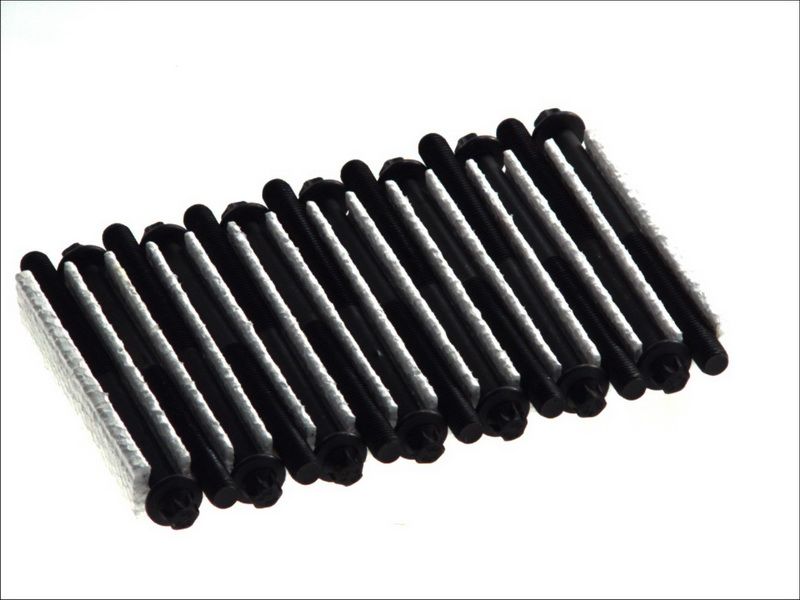 Zestaw śrub głowicy cylindrów AMC 258075