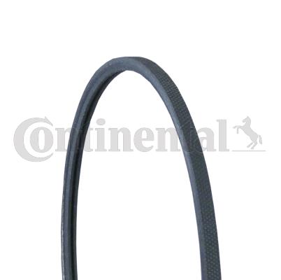 Pasek klinowy wielorowkowy CONTINENTAL CTAM 2PJ838